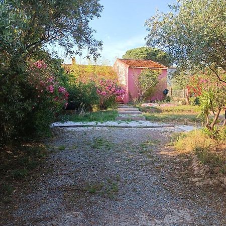 Maison De Vacances, Proche De La Plage Fréjus Extérieur photo