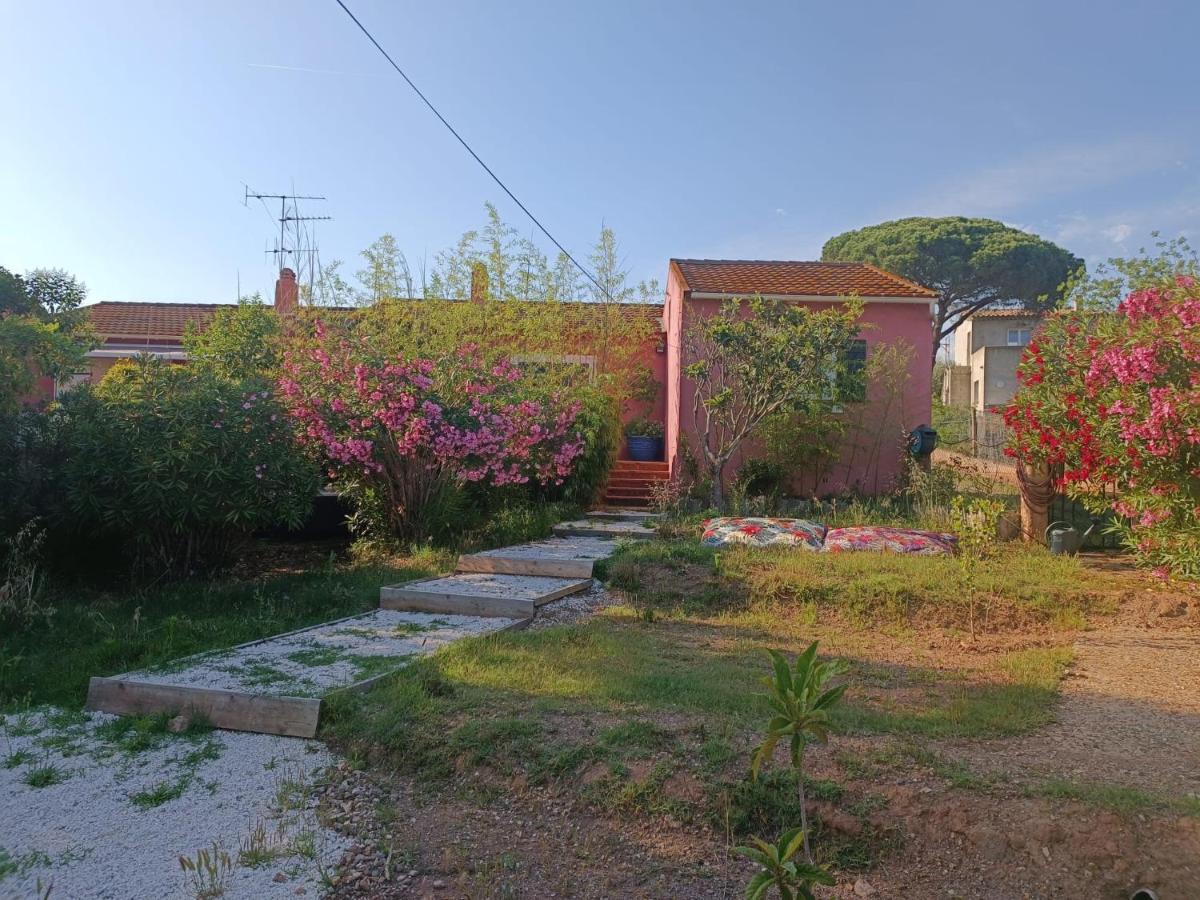 Maison De Vacances, Proche De La Plage Fréjus Extérieur photo