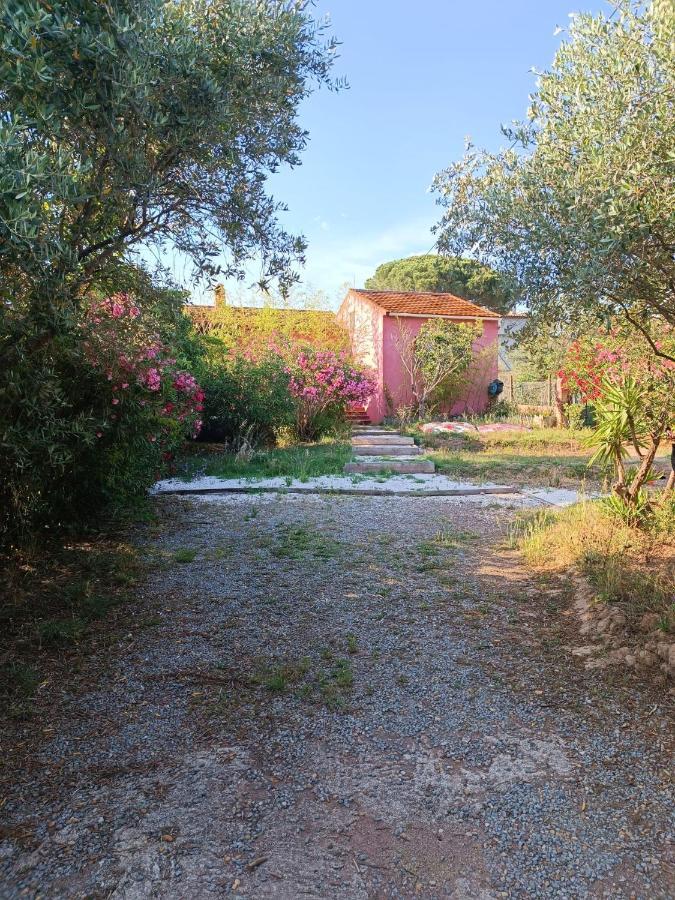 Maison De Vacances, Proche De La Plage Fréjus Extérieur photo